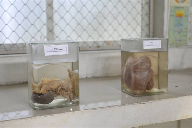 NIAMS Bhopal gallery image 12