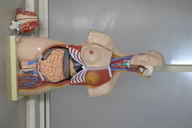 NIAMS Bhopal gallery image 13
